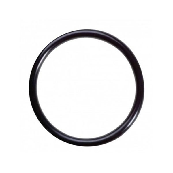 Viton O-Ring 75